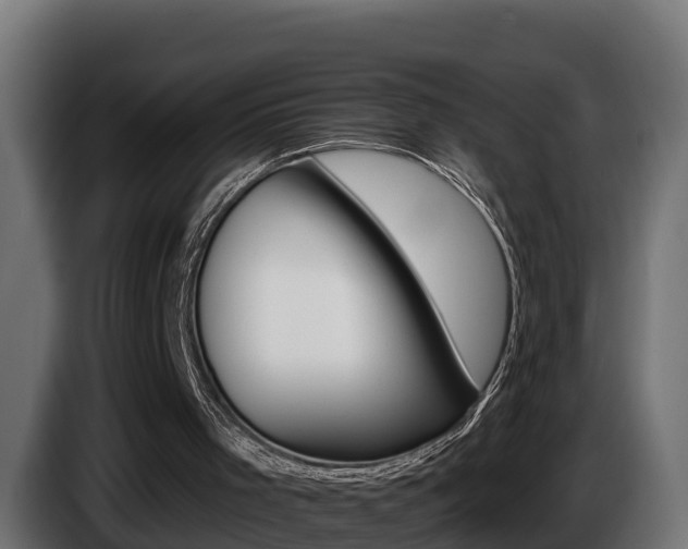 X0000086730001200704130755