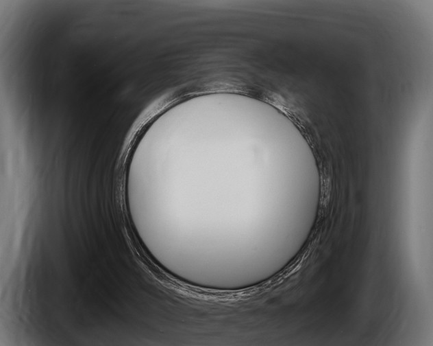 X0000086730004200704130755