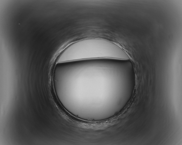 X0000086730005200704130755