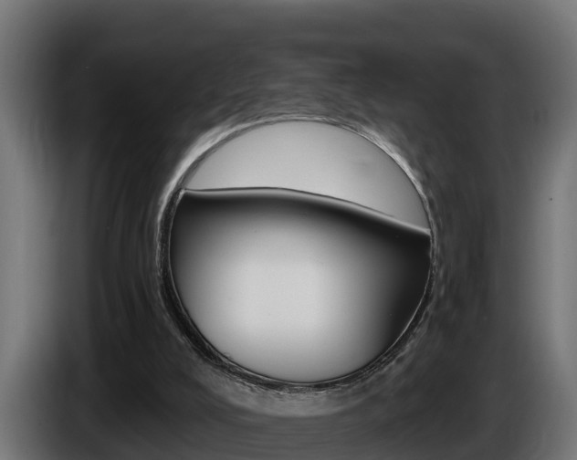 X0000086730008200704130755