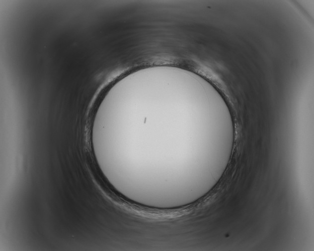X0000086730012200704130755