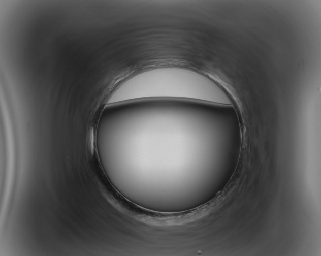 X0000086730013200704130755