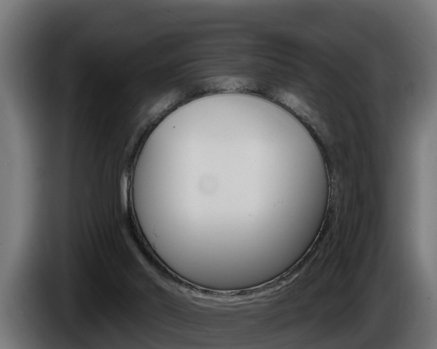 X0000086730014200704130755