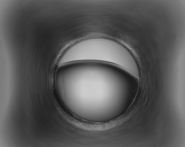 X0000086730015200704130755