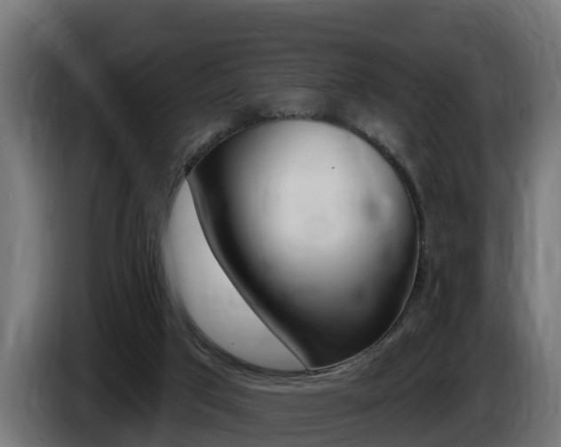 X0000086730017200704130755