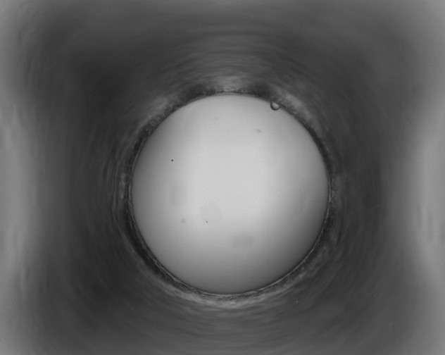 X0000086730018200704130755