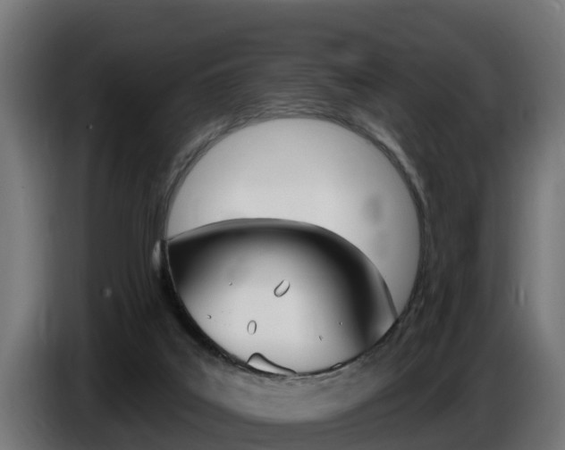 X0000086730019200704130755