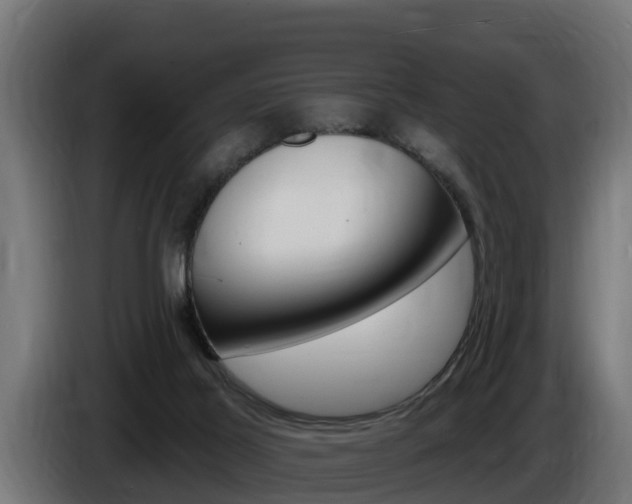 X0000086730021200704130755