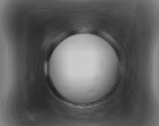 X0000086730022200704130755