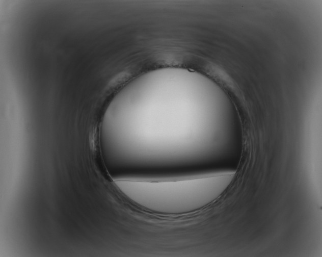 X0000086730023200704130755