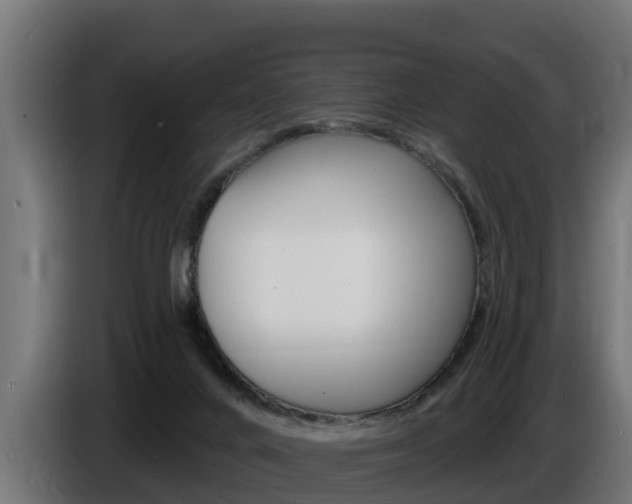 X0000086730024200704130755