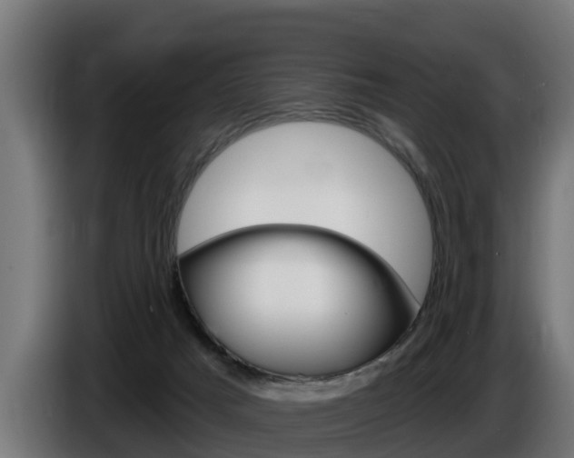 X0000086730025200704130755