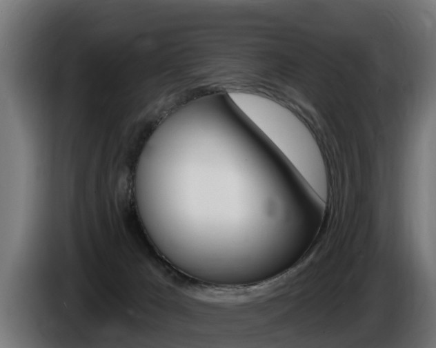 X0000086730029200704130755