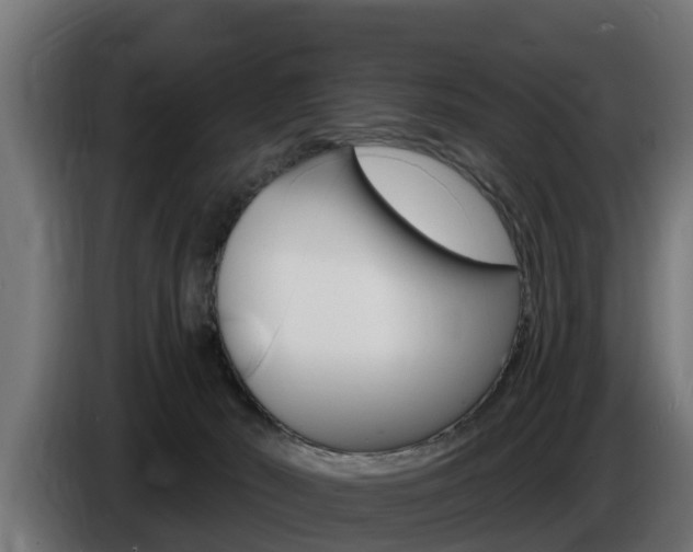 X0000086730030200704130755