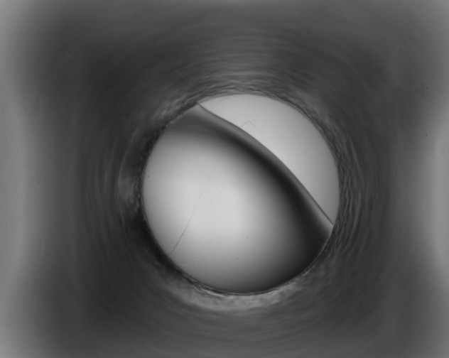 X0000086730031200704130755