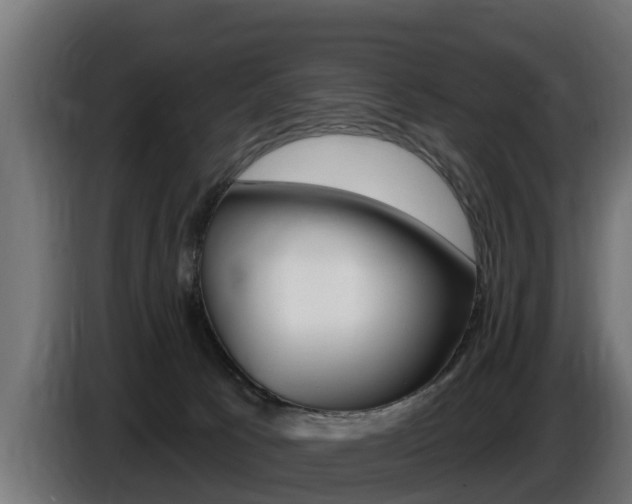 X0000086730033200704130755