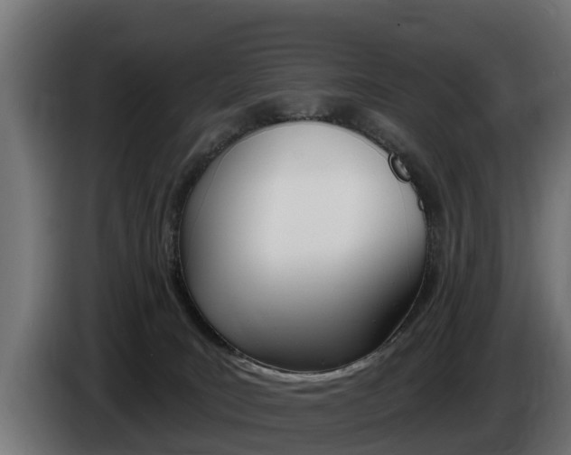 X0000086730035200704130755