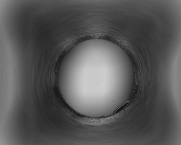 X0000086730037200704130755