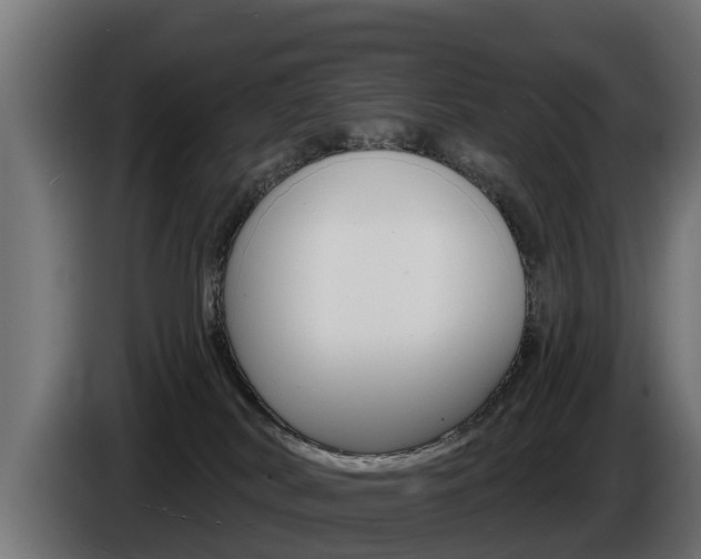 X0000086730038200704130755