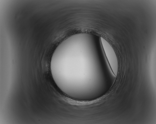 X0000086730039200704130755