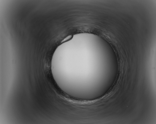 X0000086730040200704130755