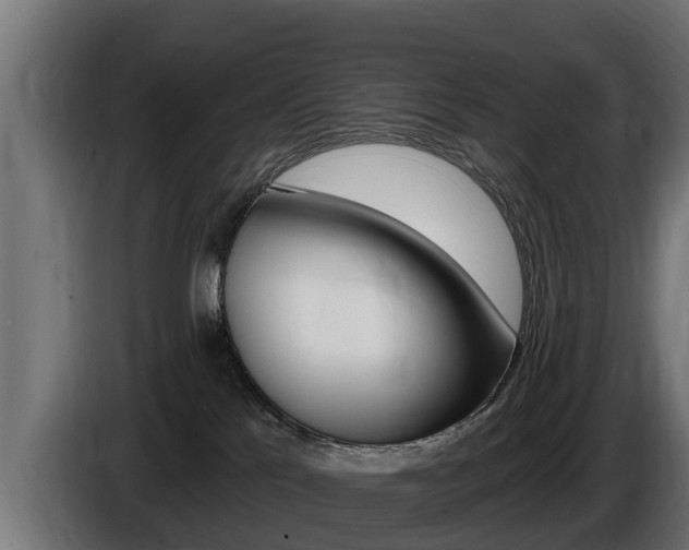 X0000086730041200704130755