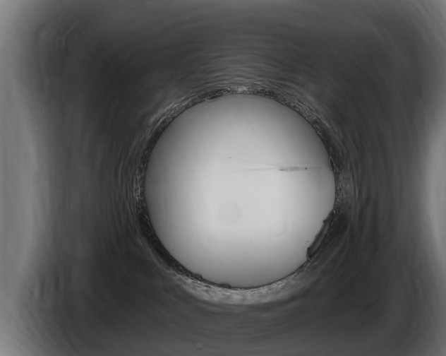 X0000086730043200704130755