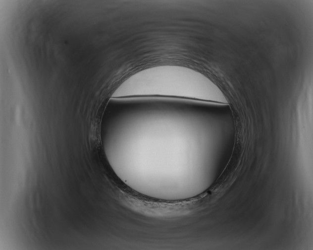 X0000086730044200704130755