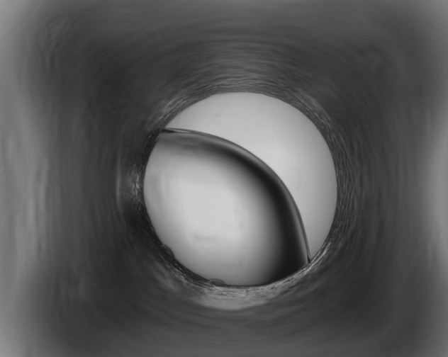 X0000086730045200704130754