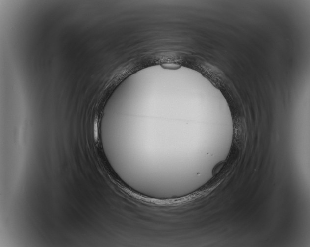 X0000086730046200704130754