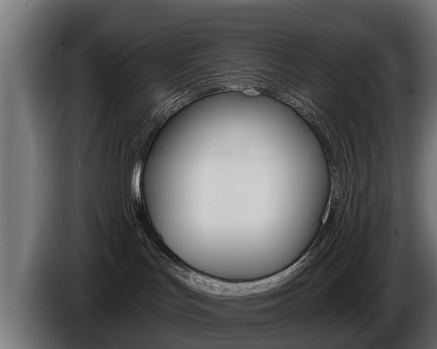 X0000086730047200704130754
