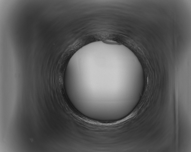 X0000086730048200704130754