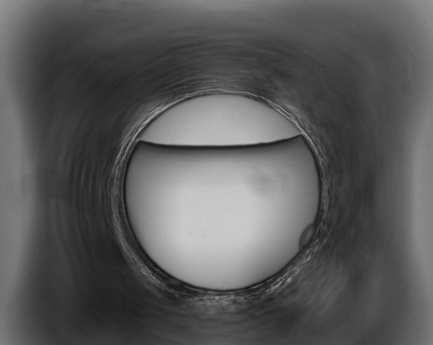 X0000086730049200704130754