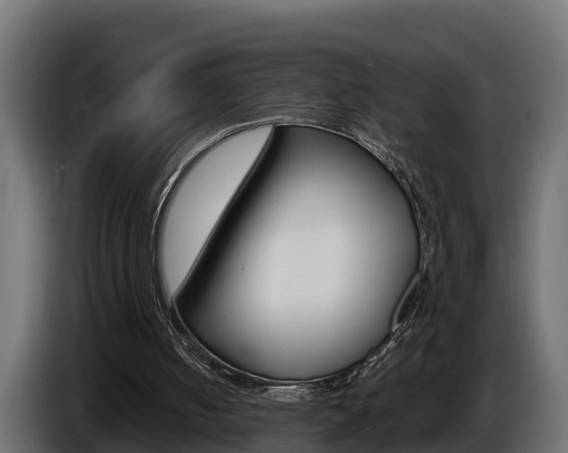 X0000086730050200704130754