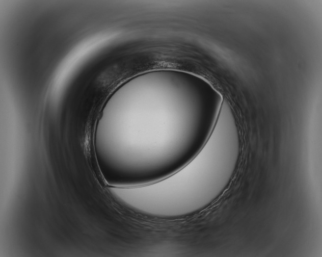 X0000086730052200704130754