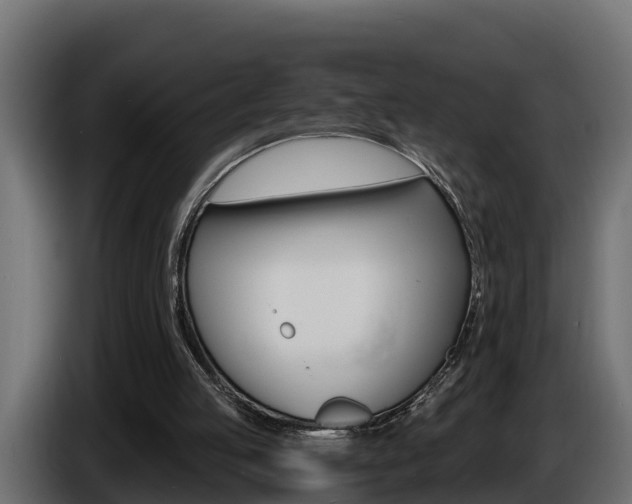 X0000086730053200704130754