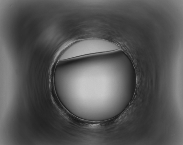 X0000086730054200704130754