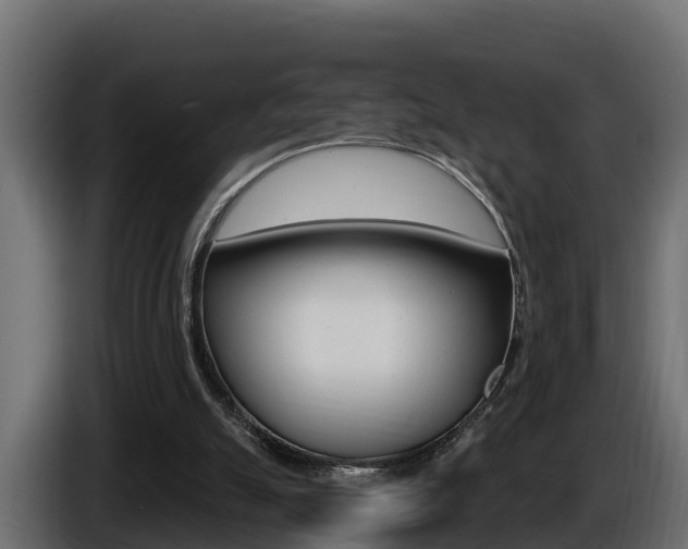 X0000086730055200704130754