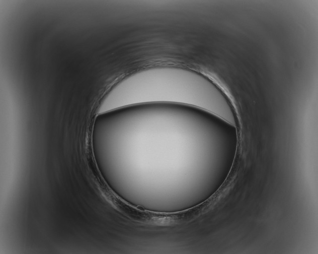 X0000086730057200704130754