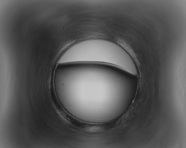 X0000086730058200704130754