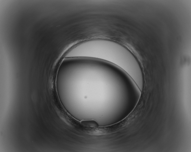 X0000086730060200704130754