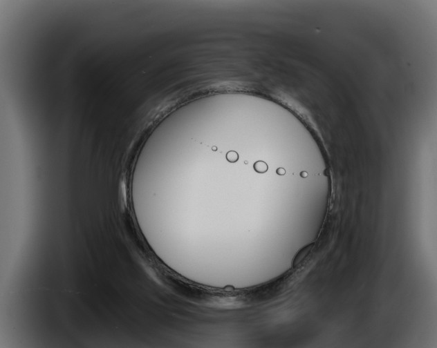 X0000086730061200704130754