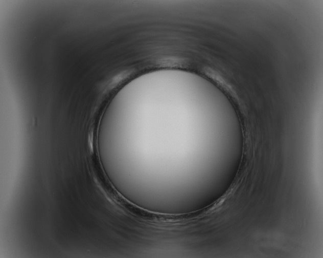X0000086730062200704130754