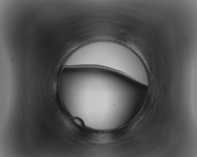 X0000086730063200704130754