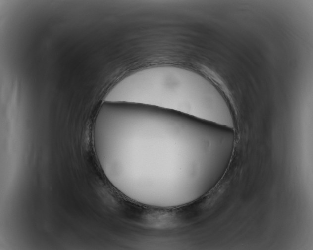X0000086730065200704130754