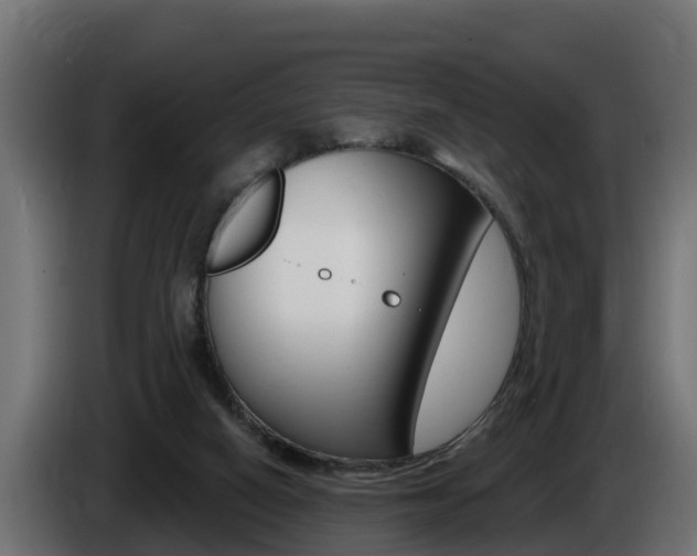 X0000086730066200704130754