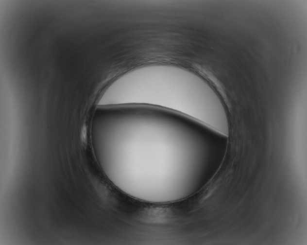 X0000086730067200704130754