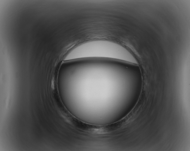 X0000086730068200704130754