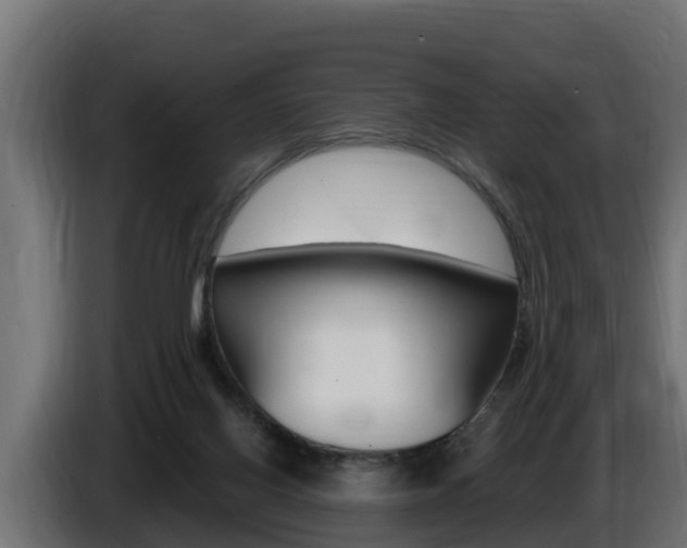 X0000086730070200704130754