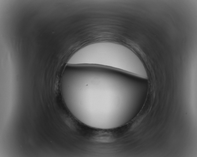 X0000086730073200704130754
